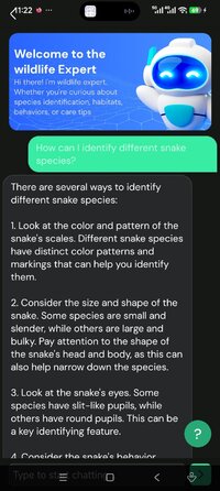 Screenshot_2026-08-19-11-22-09-833_com.ai.snake.identifier.scanner.jpg