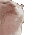 2.setitik.site_16218591984984.gif