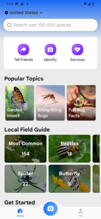 Screenshot_20250319-172421_Picture Insect.png
