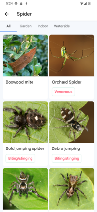 Screenshot_20250319-172429_Picture Insect.png