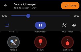 Screenshot_20250329_065256_Voice Changer.jpg