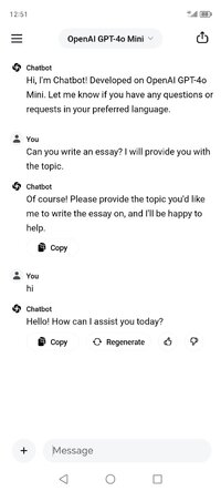 Screenshot_20250331_125109_ai_chat_app_MainActivity.jpg