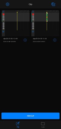 Screenshot_20250406_155005_Au Editor.jpg