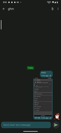 Screenshot_2025-04-19_205259.jpg