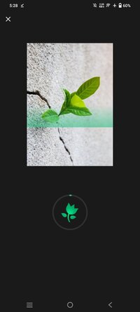 Screenshot_20250728_172850.jpg