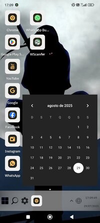 Screenshot_2025-08-29-17-09-49-372_appmania.launcher.winlauncher11.free.jpg
