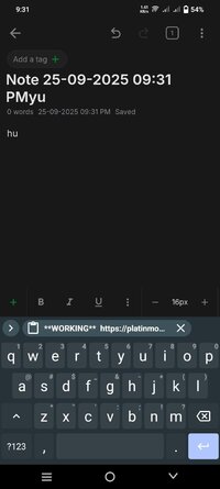 Screenshot_20250925_213117.jpg