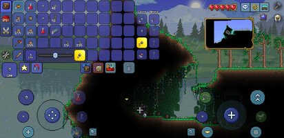 Screenshot_20251026-015628_Terraria.jpg