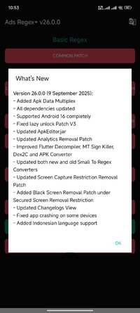 Screenshot_2025-11-02-22-53-34-469_rs.adsregex.jpg