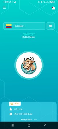 Screenshot_20251103_134048_BullVPN.jpg