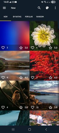 Screenshot_20251109_144354_7fon.jpg