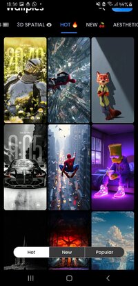 Screenshot_20251216-183008_Wallpics.jpg