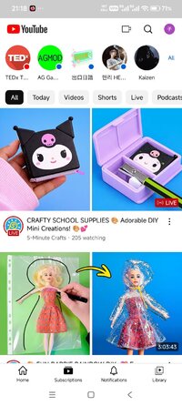 Screenshot_2026-01-11-21-18-54-263_app.morphe.android.youtube.jpg