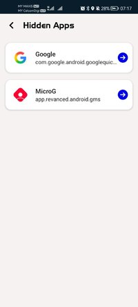 Screenshot_20260117_071706_com.stupendousgame.hiddenapp.scanner.sp.jpg