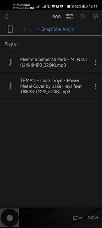 Screenshot_20260127_161140_com.onkyo.jp.musicplayer.jpg