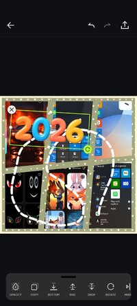 Screenshot_20260129_152557_mobi.charmer.collagequick.jpg