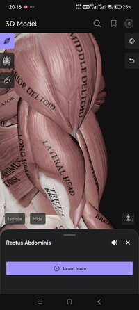 Screenshot_2026-01-30-20-16-19-901_air.com.musclemotion.posture.jpg