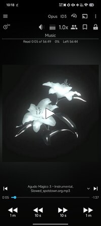 Screenshot_2026-03-09-22-18-01-510_ak.alizandro.smartaudiobookplayer.jpg
