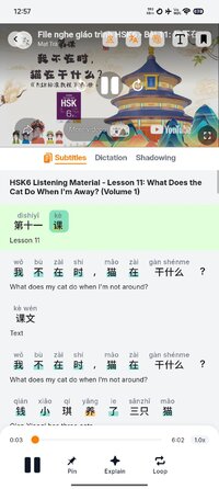 Screenshot_2026-05-01-00-57-08-798_com.meophe.catchinese.jpg
