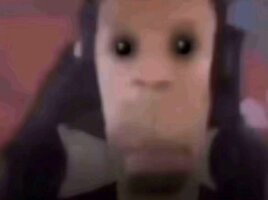 Screenshot_20260507_225141_TikTok.jpg