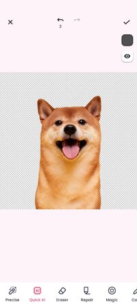Screenshot_20260513_145502_photoeditor.cutout.backgrounderaser.jpg