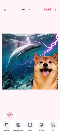 Screenshot_20260513_145632_photoeditor.cutout.backgrounderaser.jpg