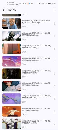 Screenshot_20260514_141443_com.videoplayer.arcplayer.jpg