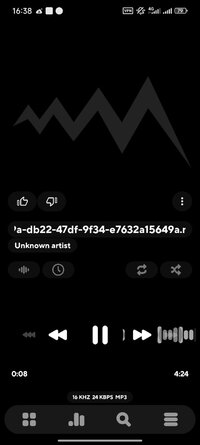 Screenshot_2026-05-26-16-38-51-224_com.maxmpz.audioplayer.jpg