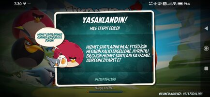 Screenshot_2026-06-03-07-30-18-475_com.rovio.baba.jpg