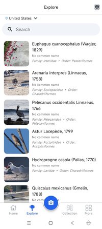 Screenshot_2026-07-08-08-03-01-526_com.jg.birdidentifier.jpg