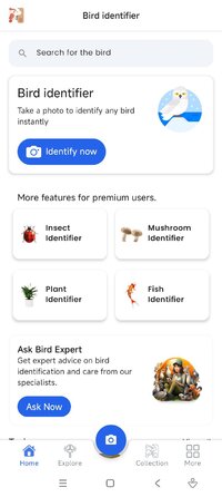 Screenshot_2026-07-08-08-00-41-371_com.jg.birdidentifier.jpg
