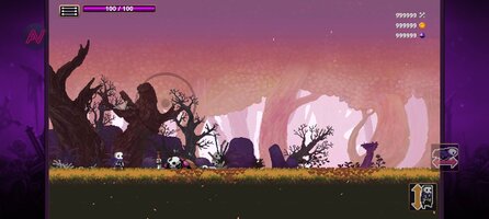 Screenshot_2026-07-22-06-24-19-391_com.playdigious.skul.jpg