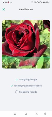 Screenshot_2026-07-22-16-24-00-812_com.myplantin.app.jpg