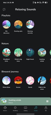 Screenshot_2026-07-22-16-36-22-479_com.petitbambou.jpg