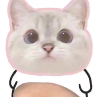 18296994696