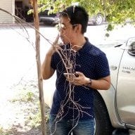 animetrade (Thai)