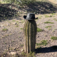 CactusPal