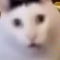 旧约QAQ