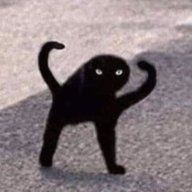 MiniCat