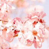 Sajidshaikh___