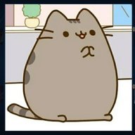 -CAT-