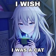 mafuyuki