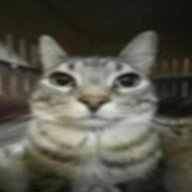 Manzia