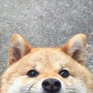 alphatie65