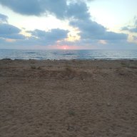Halvaop