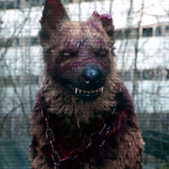 Evgeniy1988