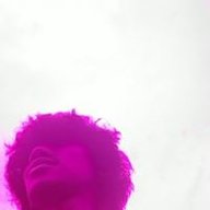 Kelempud