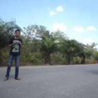 havi