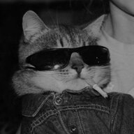 chillcat1911