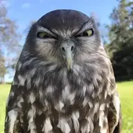 Achara69